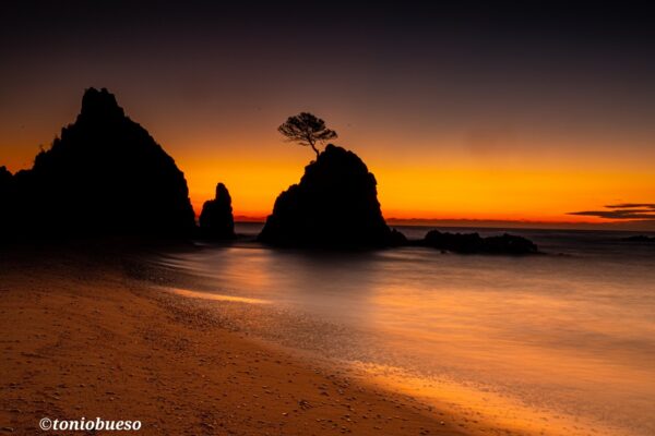 ©️photo by toniobueso (181)